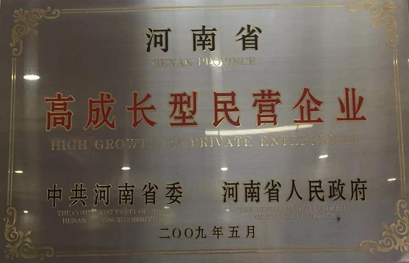 高成長(zhǎng)型民營(yíng)企業(yè)